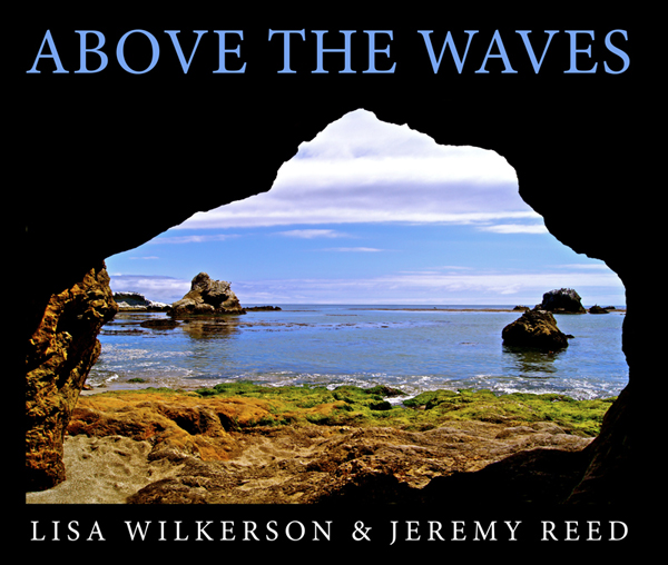 above the waves book cover